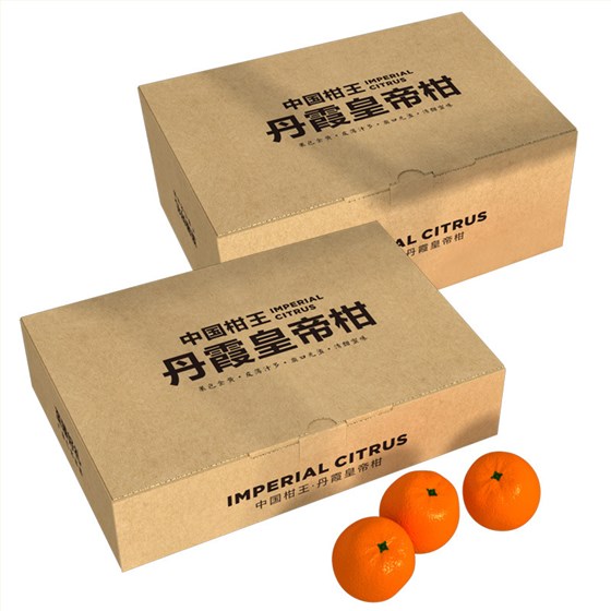 皇帝柑水果盒世纪注册设计