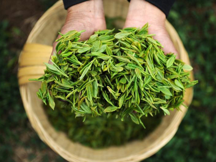 茶叶世纪注册彩盒定制-销售提升、品牌推广关键在于选对世纪注册