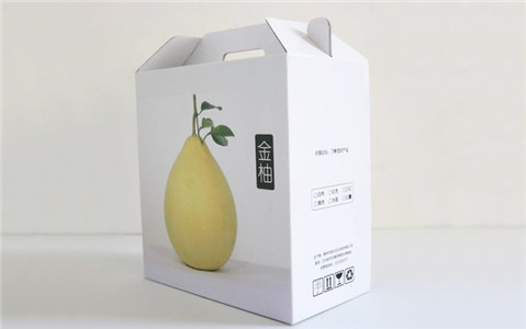 食品世纪注册彩盒定制
