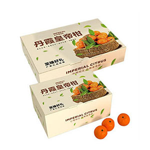 水果世纪注册盒定制