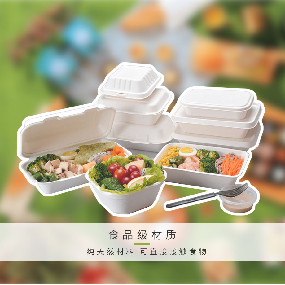一次性饭盒世纪注册盒
